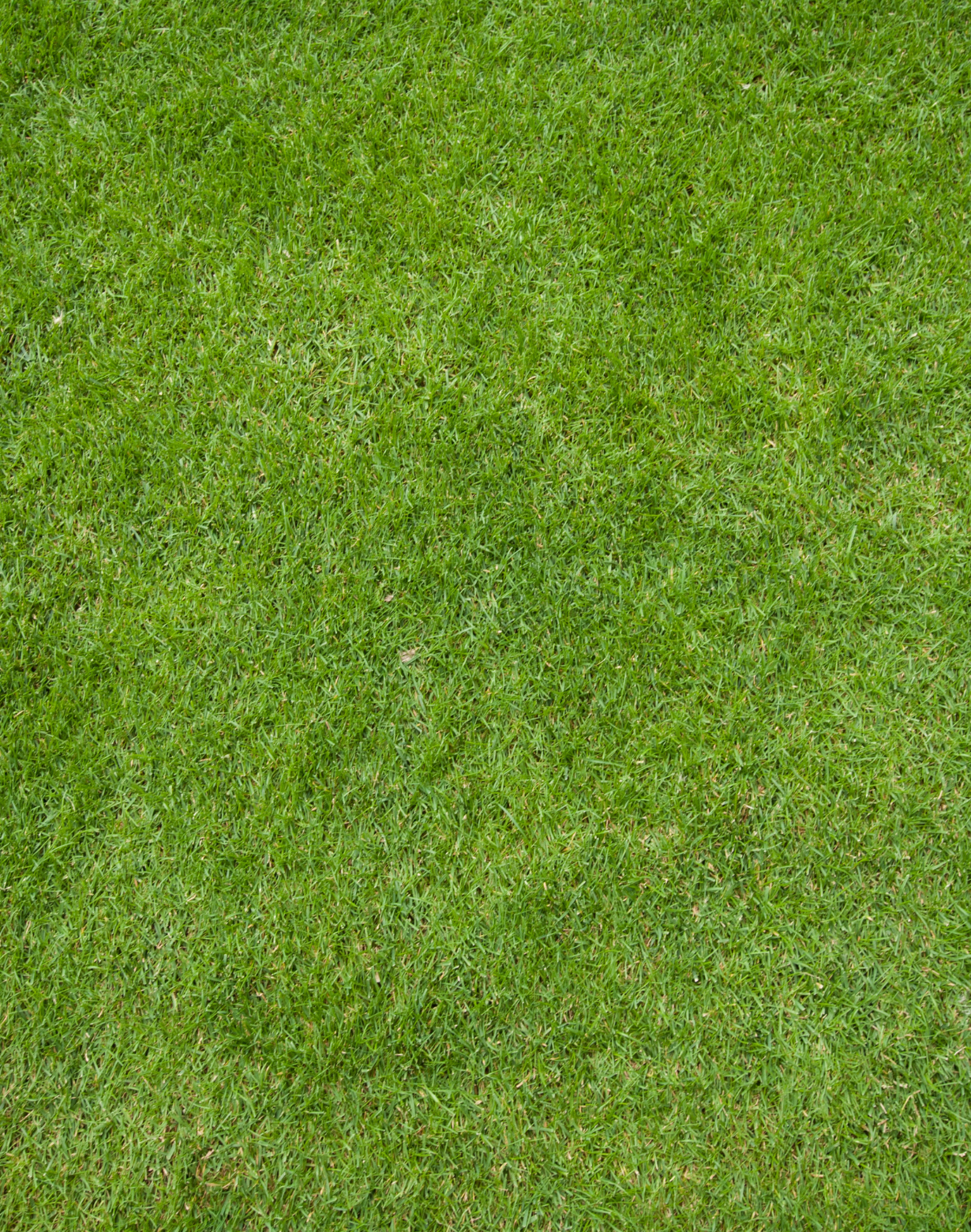 Untitled design – 2025-10-06T141637.872