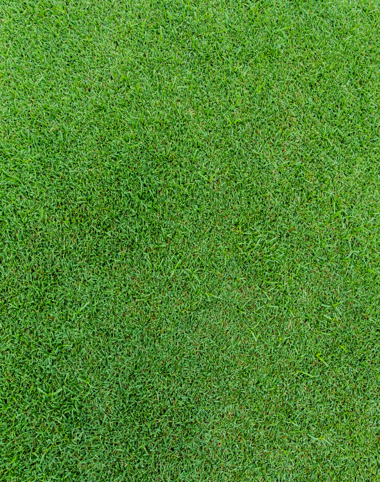 Untitled design – 2025-10-06T141652.992