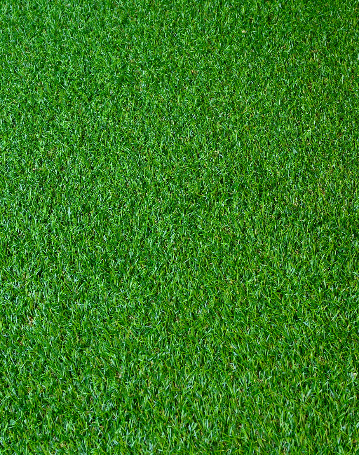 Untitled design – 2025-10-06T141707.784