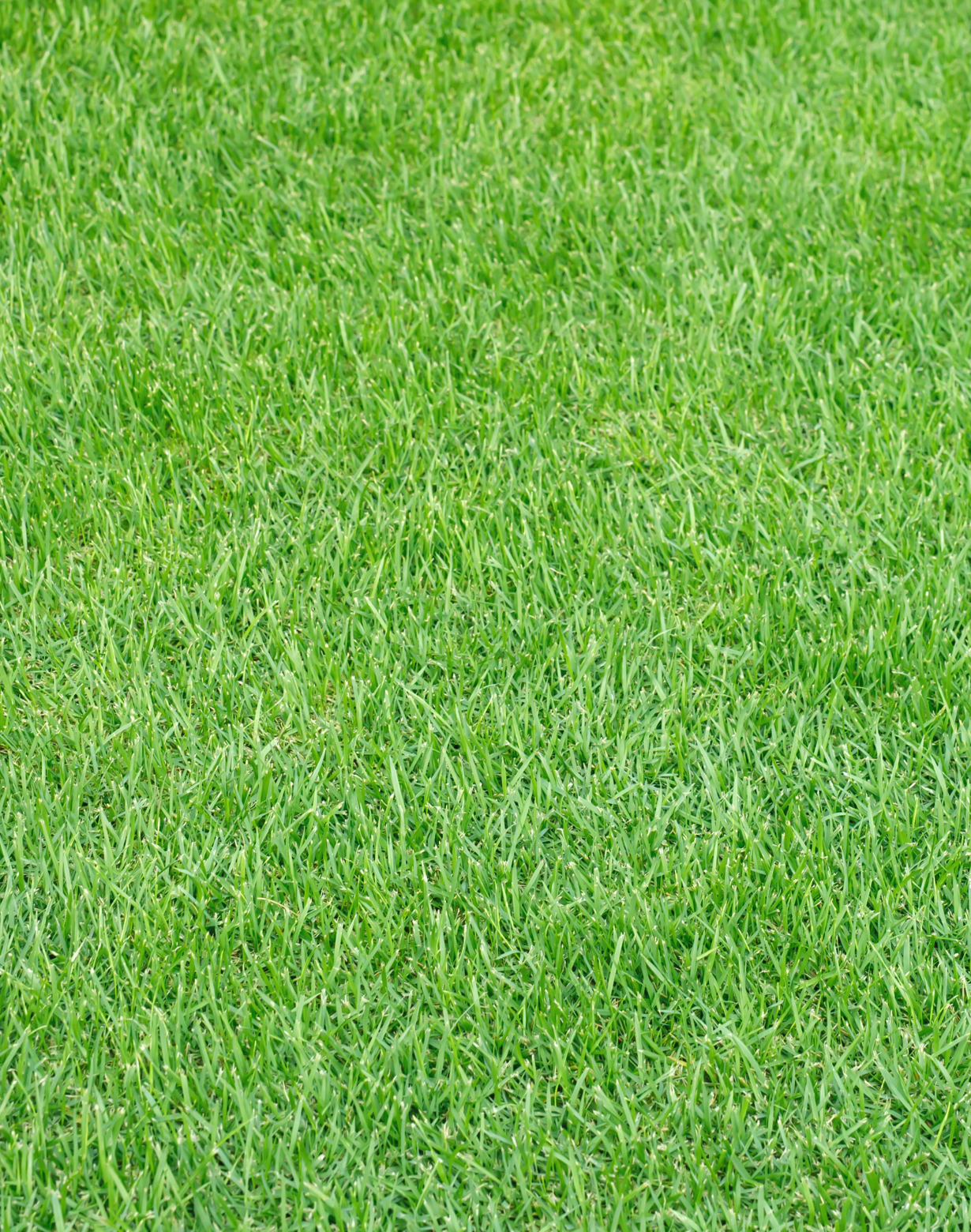 Untitled design – 2025-10-06T151652.545