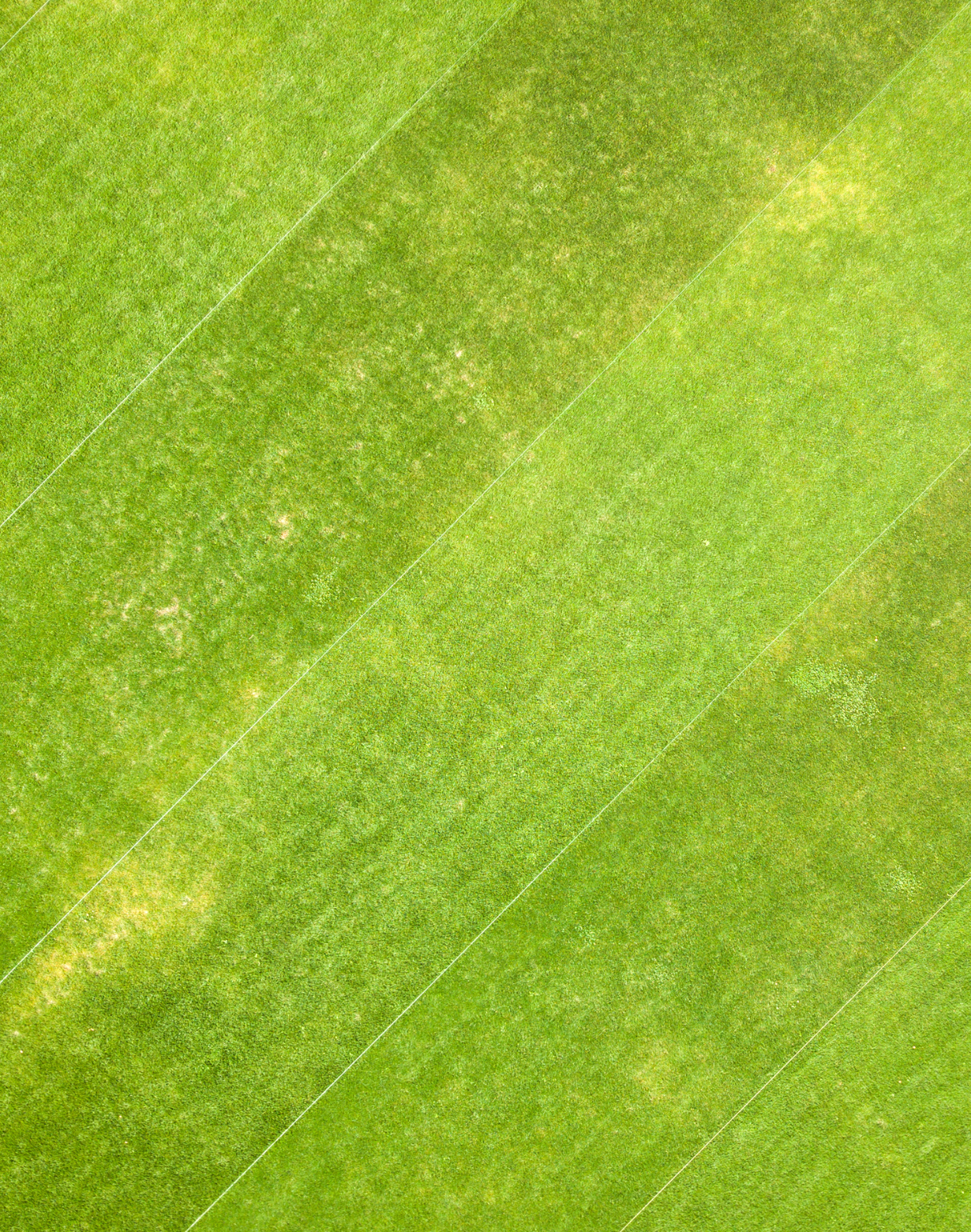 Untitled design – 2025-10-06T151835.458