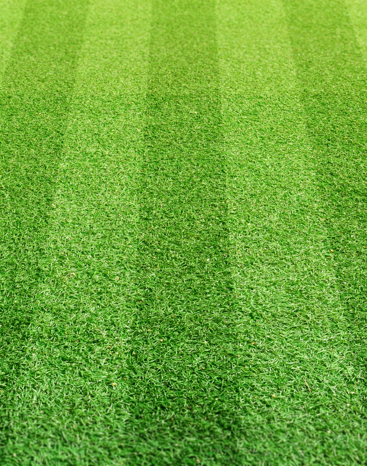 Untitled design – 2025-10-06T151848.356