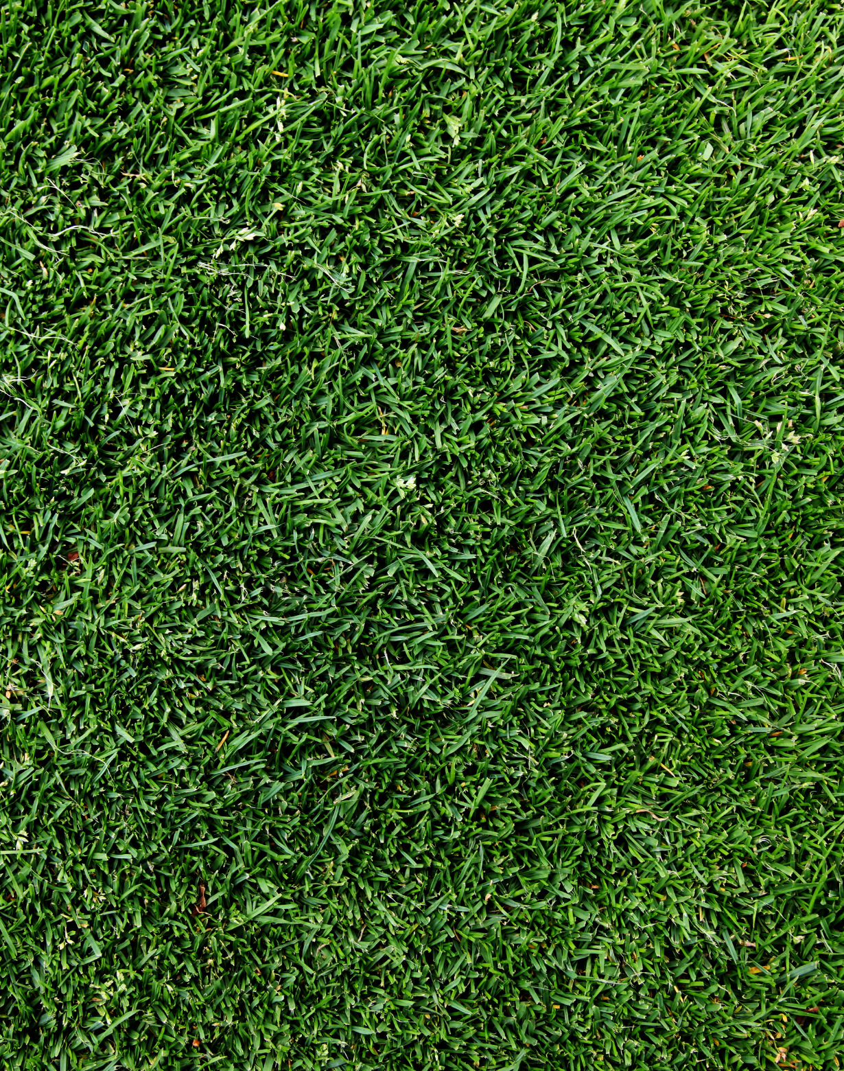 Untitled design – 2025-10-06T151928.797