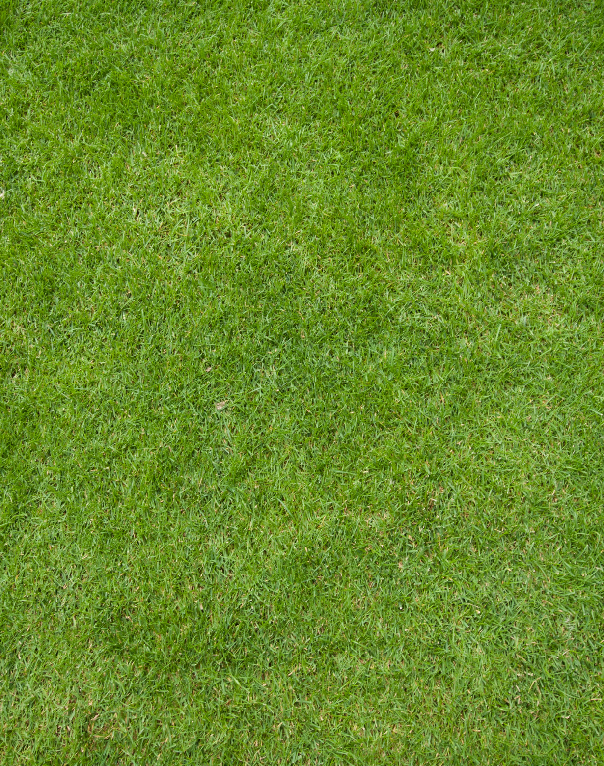 Untitled design – 2025-10-06T151945.503