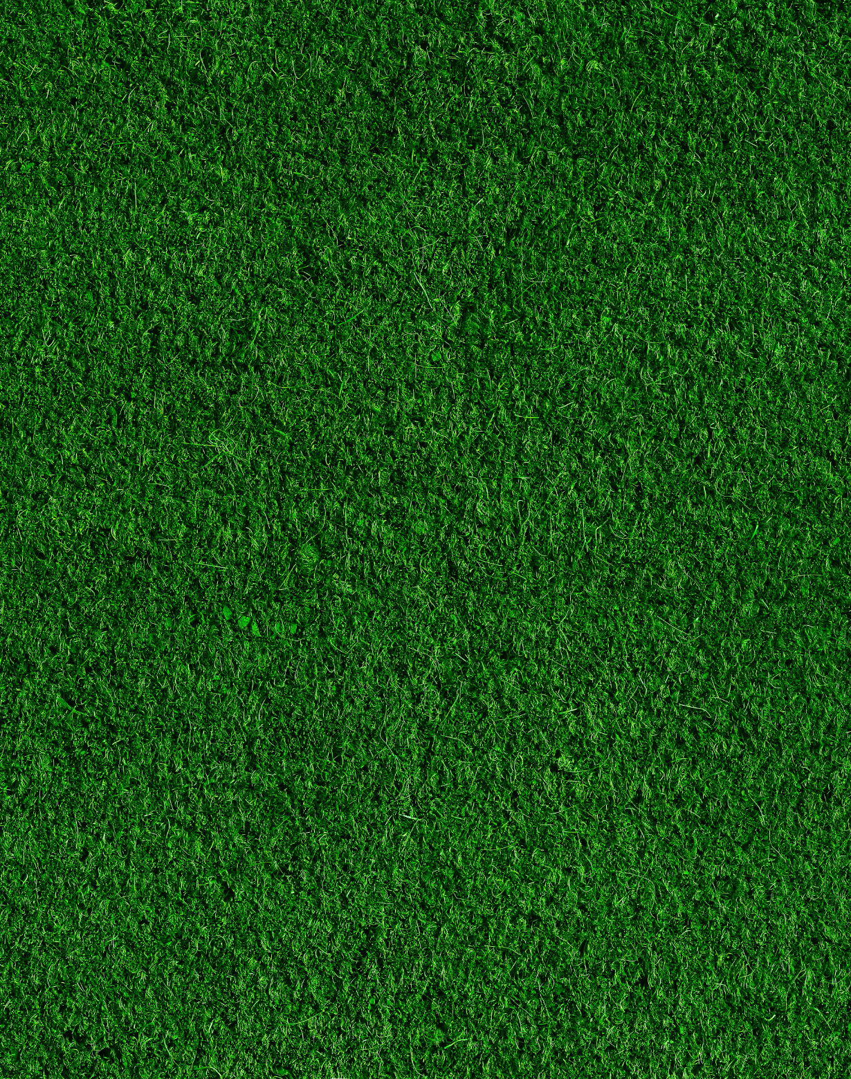 Untitled design – 2025-10-06T152641.435